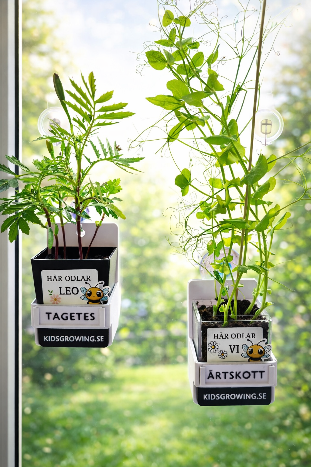 1. Kids Growing - Lilla paketet