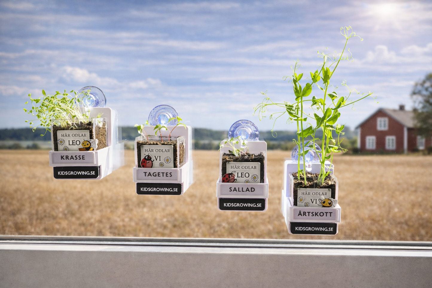 2. Kids Growing - Stora paketet